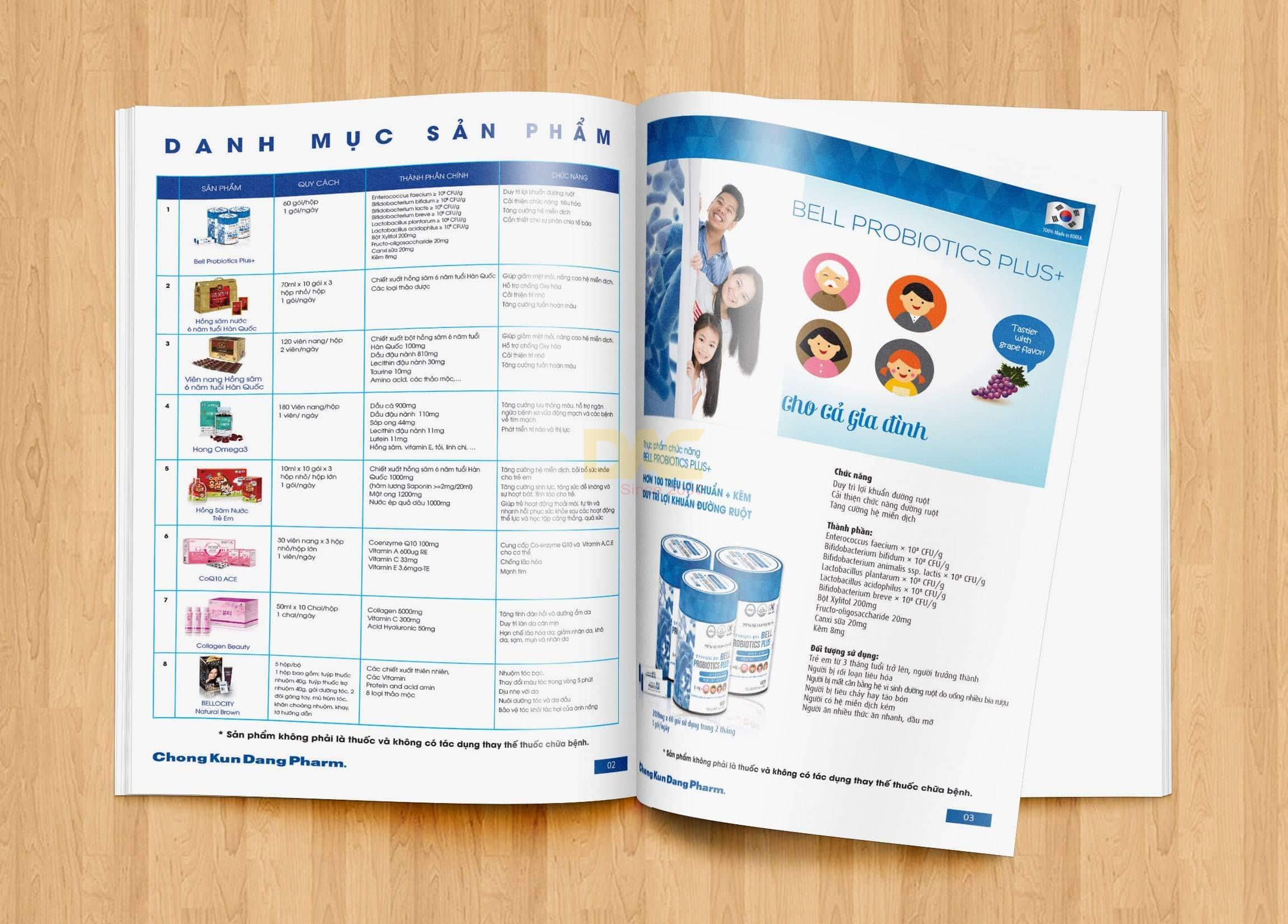 Mẫu các loại catalogue phổ biến