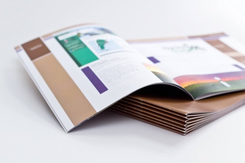 Tổng hợp những yếu tố quan trọng của booklet
