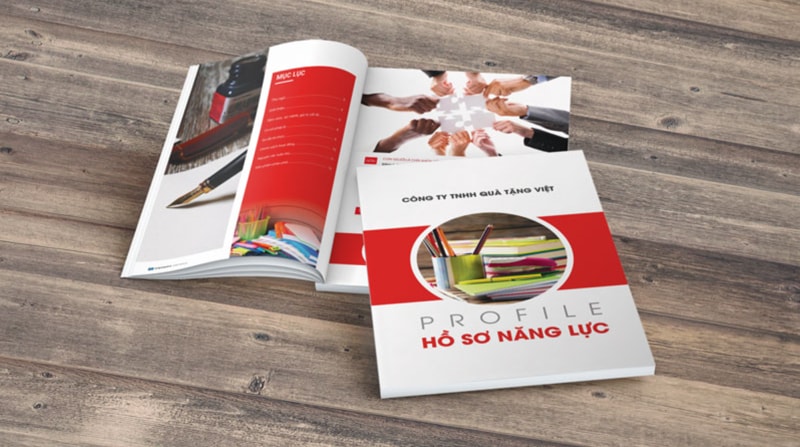 Hồ sơ năng lực công ty dịch vụ