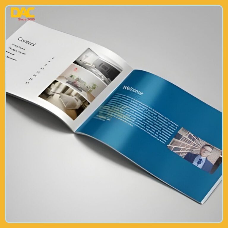 Thiết kế catalogue