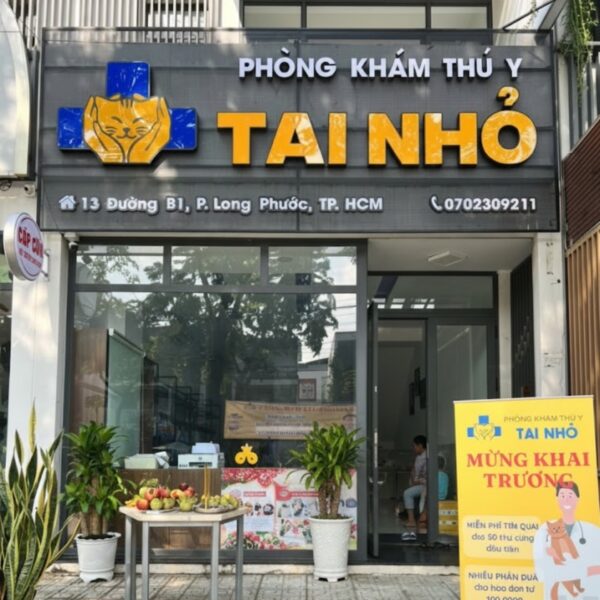 Phòng khám thú y Tai Nhỏ – Bảng hiệu chữ nổi