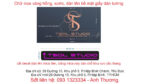 TSOL Studio – Logo Inox dán tường