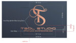 TSOL Studio – Logo Inox dán tường