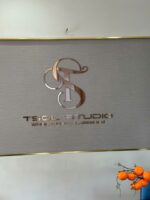 TSOL Studio – Logo Inox dán tường
