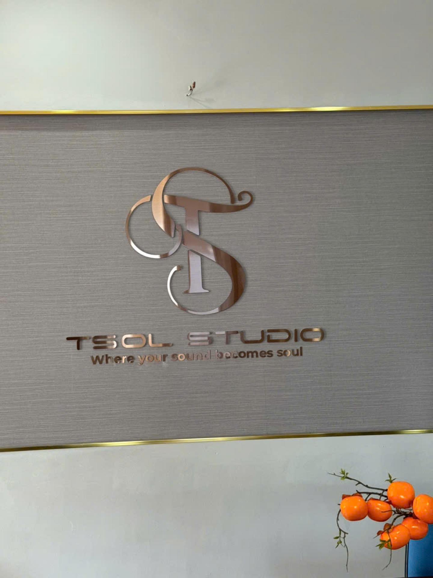 TSOL Studio – Logo Inox dán tường