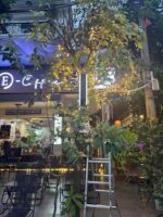 Thu Âm Sài Gòn – Hộp đèn Mica