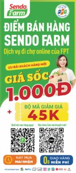 Sendo – Bộ POSM văn phòng