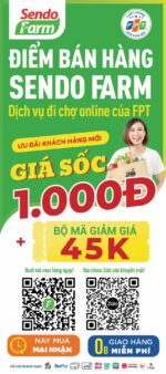 Sendo – Bộ POSM văn phòng