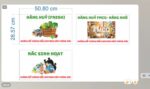 Sendo – Bộ POSM văn phòng