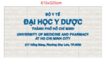 Bảng hiệu chữ nổi Đại học Y Dược TP.HCM – ảnh 7