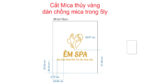 Bản vẽ quy cách logo Mica Em Spa