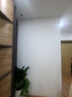 Hiện trạng mảng tường văn phòng Hong Duc Land – ảnh 1