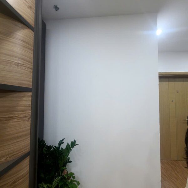 Hiện trạng mảng tường văn phòng Hong Duc Land – ảnh 1
