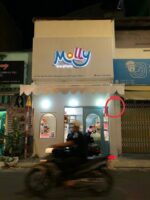 Hộp đèn Molly Toyhouse hoàn thiện tại mặt tiền ban đêm