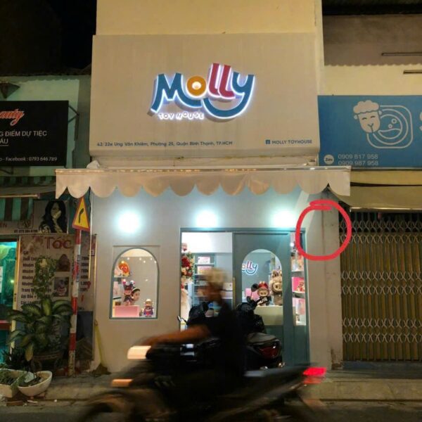 Hộp đèn Molly Toyhouse hoàn thiện tại mặt tiền ban đêm