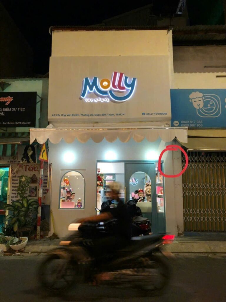 Molly Toyhouse – Hộp đèn